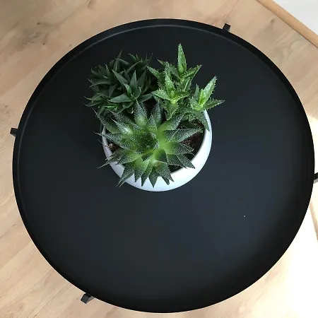 Апартаменты Erik Satie