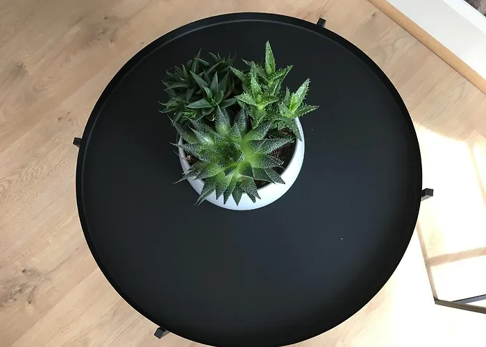 Апартаменты Erik Satie